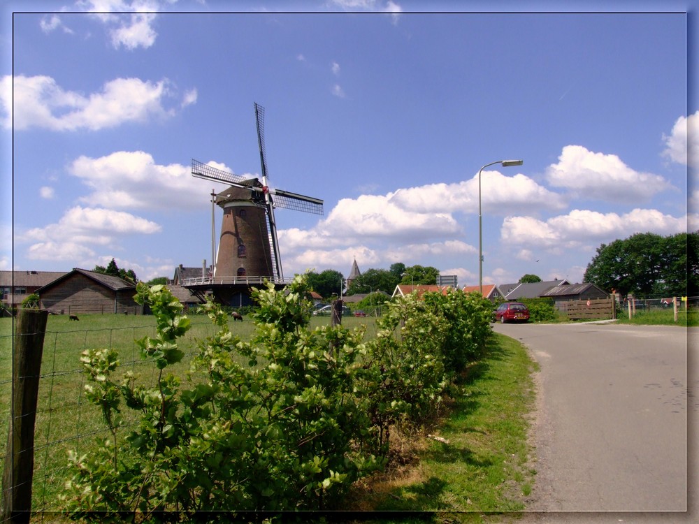 molen