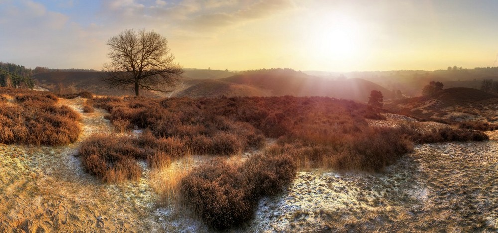 veluwe